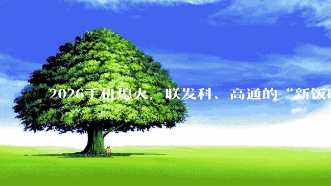 2026手机熄火，联发科、高通的“新饭碗”_内存_市场_安蒙