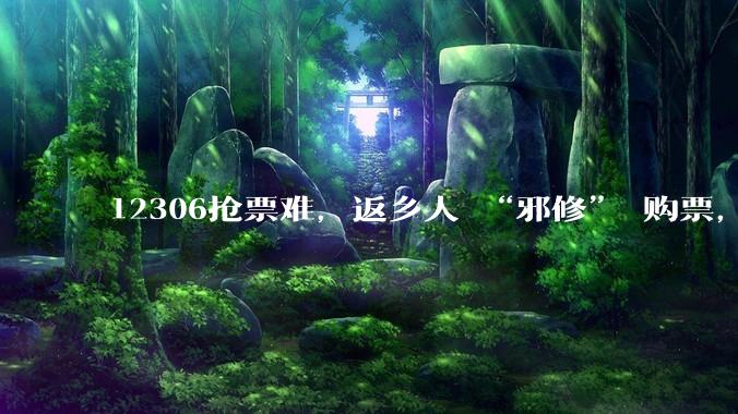 12306抢票难，返乡人 “邪修” 购票，黄牛、玄学盛行，专家律师警示风险_官方_平台_车票