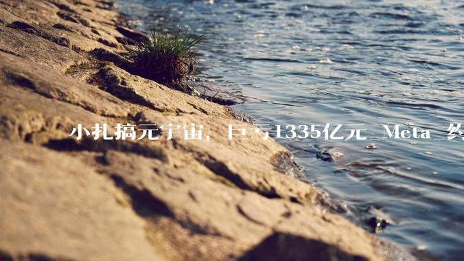 小扎搞元宇宙，巨亏1335亿元_Meta_约合_人民币